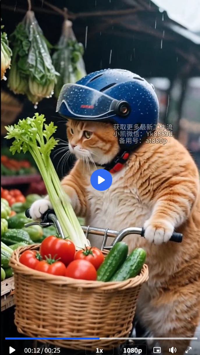 6.9、抖音火爆：橘猫搞笑视频-子文AI工作流