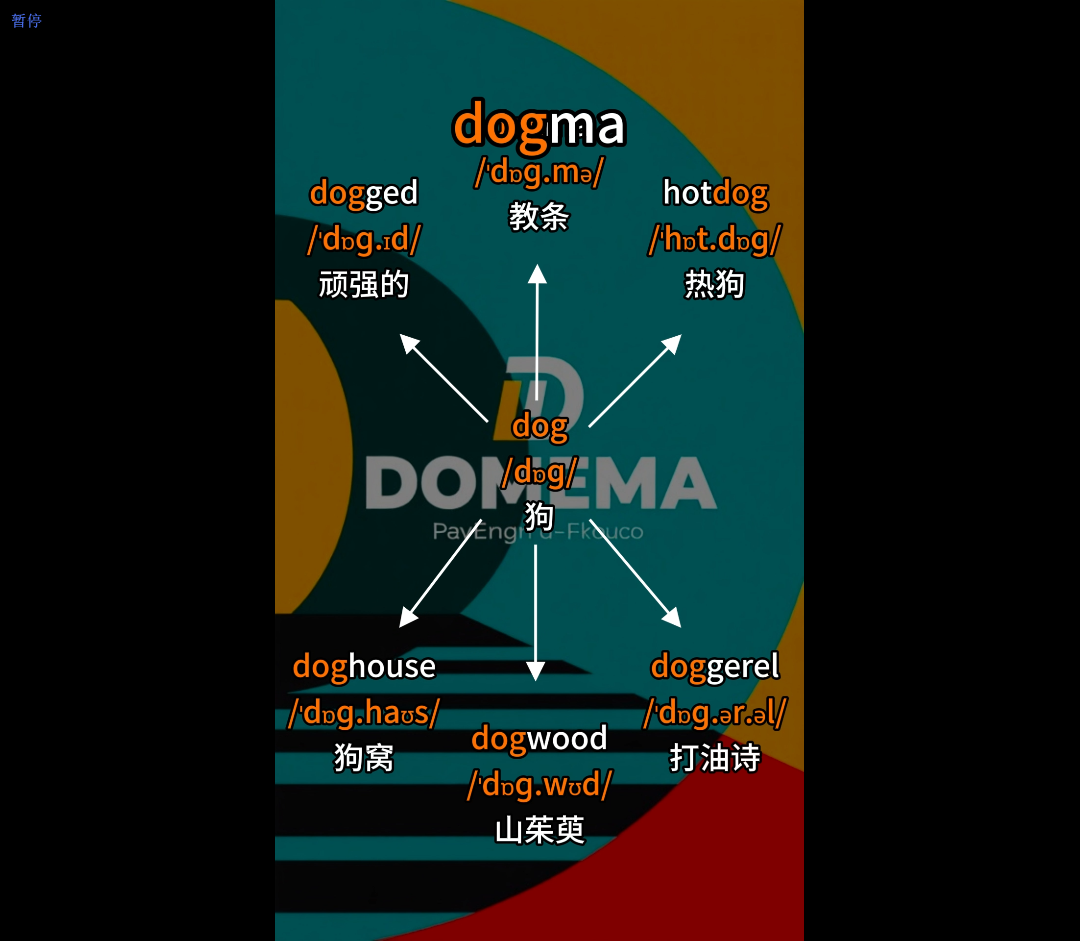5.17、文化教育：英文单词思维导图-子文AI工作流