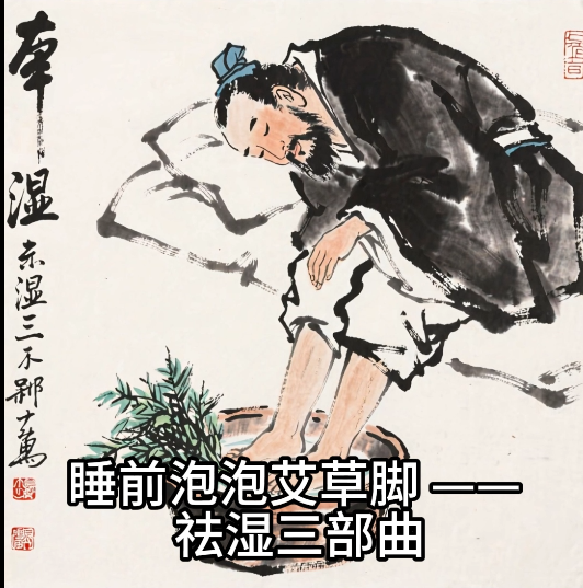 9.13、各行业第十三版：中式养生视频-子文AI工作流